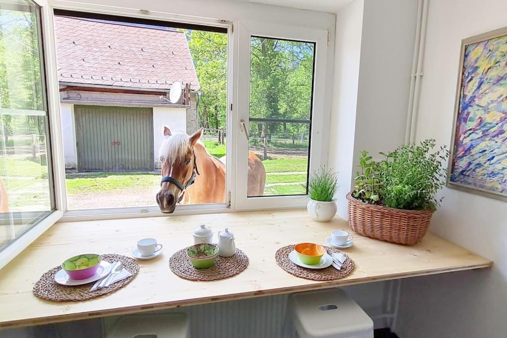 Cosy Family Apartment 赖歇瑙 外观 照片